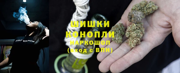 гидра Арсеньев