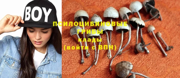 прущая мука Армянск