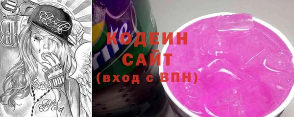 гидра Арсеньев