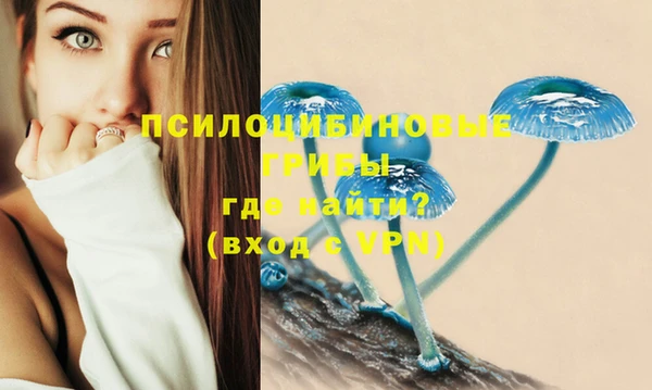 прущая мука Армянск