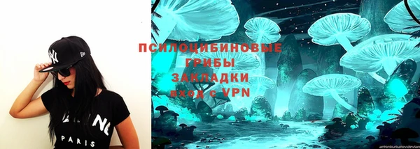 прущая мука Армянск