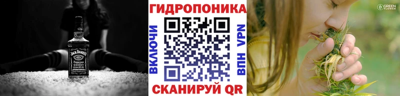 Каннабис конопля  дарнет шоп  Малгобек 